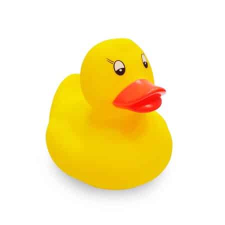 ברווז PVC קשיח Donald